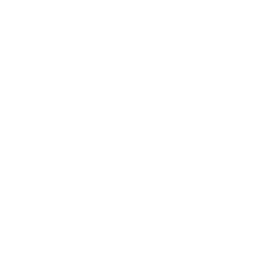 Evolvus Automat